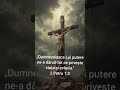 Frumos #cruce #sfantacruce #crestinism #credinta #biserica #binecuvantare #biblie #ortodoxie #love