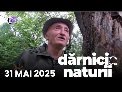 Dărnicia Naturii • Flori de Mai Dărnicia Naturii • Flori de Mai