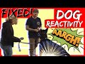 Aggressive German Shepherd attacks trainer during aggressive behavior training part 2