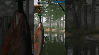 Турнир Самая Большая Рыба Ultimate Fishing Simulator 2 #ultimatefishingsimulator2