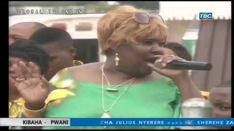 Uzinduzi wa  Chuo cha Uongozi wa Mwalimu Nyerere- Kibaha