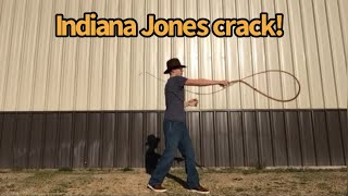 How to crack a whip like Indiana Jones