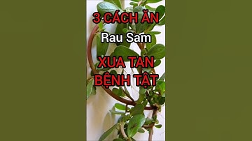 3 Cách Ăn Rau Sam Xua Tan Bệnh Tật #dinhduong #health #suckhoe