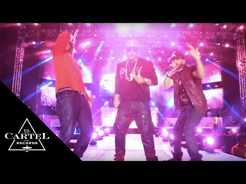 Daddy Yankee | Medellin, Colombia (Live)