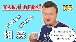Kanji (N5) 13. Bölüm ~ Doğa (2. Kısım)