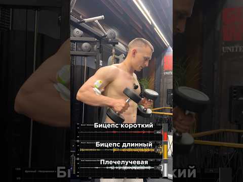 Бицепс и миограф.За персональным планом обращаться в телеграм:@TrainerSmirnoVV