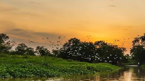 Jelajah Sungai Perak