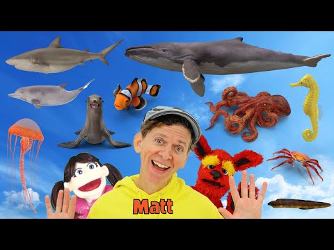 Sea Creatures - What Do You See? Song  | Find It Version | Dream English Kids