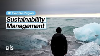 Sustainability Management - Executive Program