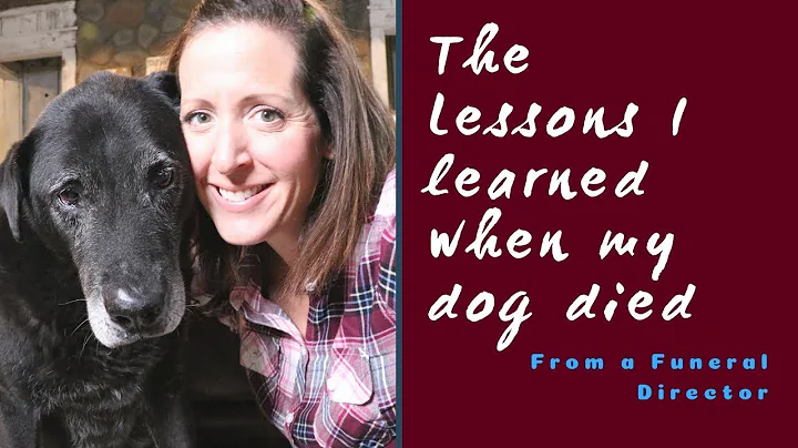 The lessons I learned, as a funeral director, when my dog died