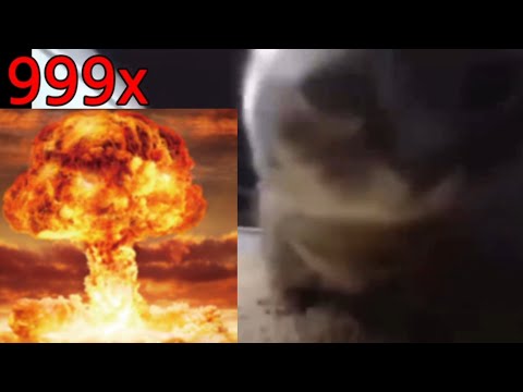chipi chipi chapa chapa cat but 999x speed