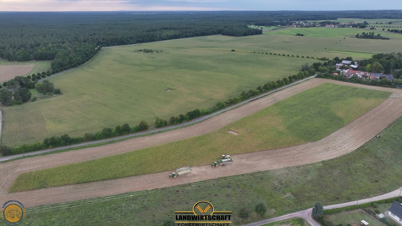 Das ist alles Mais Hier haben wir 3 Tage zu Tun! 160ha am Stück Köhl Harvest bei der 42.000 ha Mais
