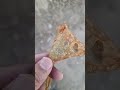 سبحان الله السمبوسة كلمالهم ويصغرونها لما تصير كبر حبة البنك