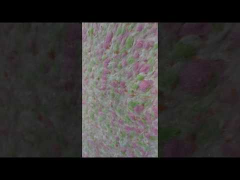 ☆РІДКІ ШПАЛЕРИ ☆ Магнолія 1005 ☆