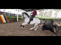 CHENELITO 🐴, toreando en la pista techada de Cipreses 🏇