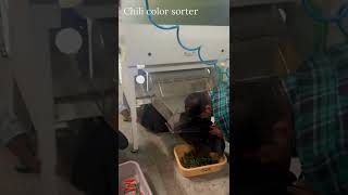 Details Chili Color Sorter / Mirchi Color Sorter Machine in Coimbatore, India - ☎️ Call +91 9994399996 Guide