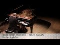 Hamelin plays debussy  reflets dans leau from images book i