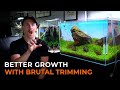 GET BETTER AQUARIUM PLANT GROWTH WITH THIS TRIMMING TIP!
