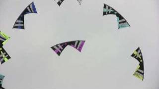 9 Revolution kites : Team FLIC - Berck 2009