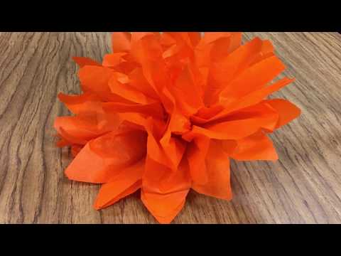 How to Make Paper Flowers for Day of the Dead - ¡HOLA! JALAPEÑO