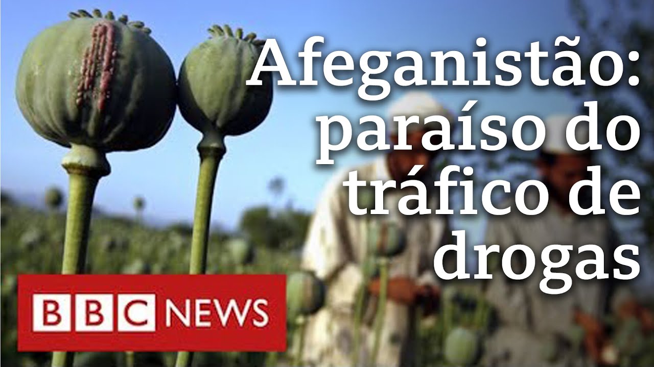 Sob Talebã, tráfico de drogas cresce no Afeganistão