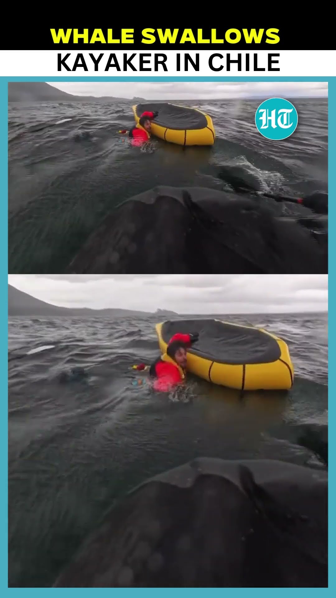 Kayaker Survives After Being Briefly Engulfed by Giant Humpback Whale In Chile