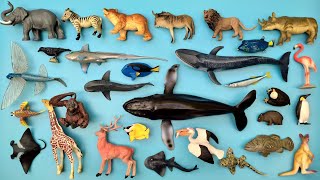 Hewan Laut dan Hewan Liar Hiu Hantu Pinguin, Paus Biru, Singa, Ikan Kerapu, Zebra, Beruang, Jerapah