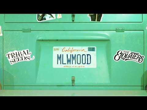 Obejrzyj Tribal Seeds - Mellow Mood ft. The Elovaters (Official Lyric Video) w YouTube Obejrzyj Tribal Seeds - Mellow Mood ft. The Elovaters (Official Lyric Video) w YouTube