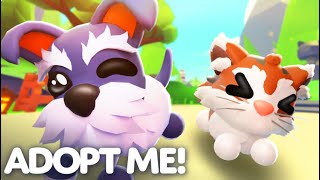 New adopt me homepass pets update!