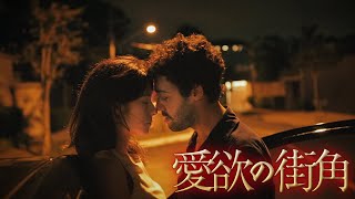 本能が、快楽を求めている。『愛欲の街角』DVD予告