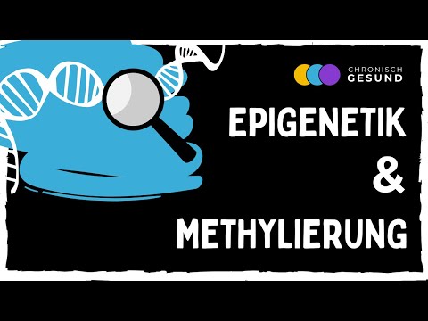 Epigenetik entschlüsselt: Wie du über Methylierung dein Gen-Schicksal selber programmieren kannst
