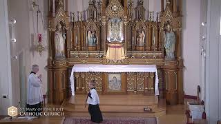 Daily Mass with Fr. Richard Heilman for June 17, 2023