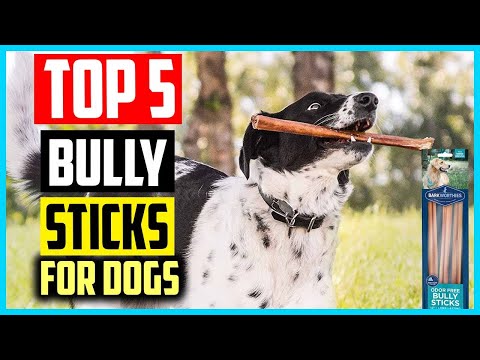 The 5 Best Bully Sticks For Dogs of 2021