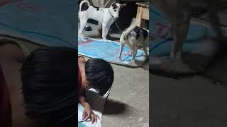 eha WWE  ho rahe 😄 #funny #dog