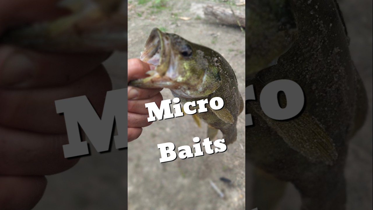 MICRO Fishing Baitz 