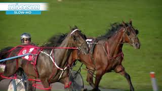 CDP 2021 July 31 R10