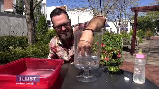 Halloween Science Experiments