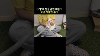 고양이 미용기는 이걸로 정착! #고양이미용