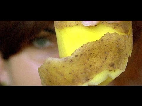 Diese Kochtipps sollten Sie kennen, damit Sie sich nicht an Kartoffeln vergiften