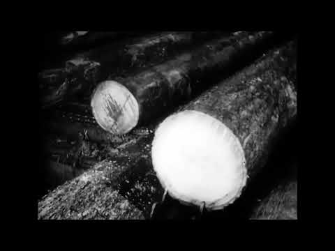 BC Canada Forest Industry Film 1935: Big Timber