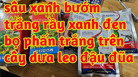 bọ trĩ sâu xanh trên đậu đũa trị rầy xanh rầy đen bọ phấn trên dưa leo 023 277
