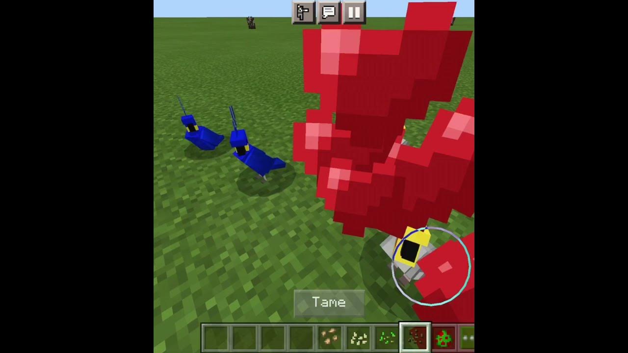 How to feed parrots in minecraft YouTube