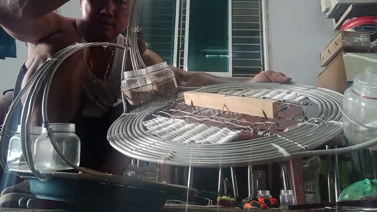 (139)mình chia sẻ cho ae cách làm lòng Trần giá rẻ 150 ngàn