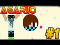 AGAR.IO "BRUSTELOGS ES PEQUEÑO"