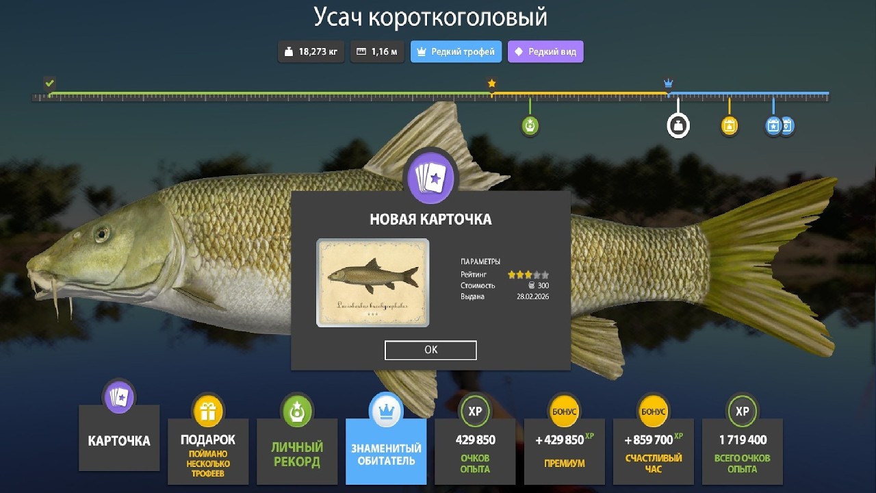 НОВЫЕ ФАРМЫ СЕРЕБРА и РАЗДАЧИ ТРОФЕЕВ! СВОДКА по ВОДОЁМАМ на 01.03 в Русской Рыбалке 4! РР4