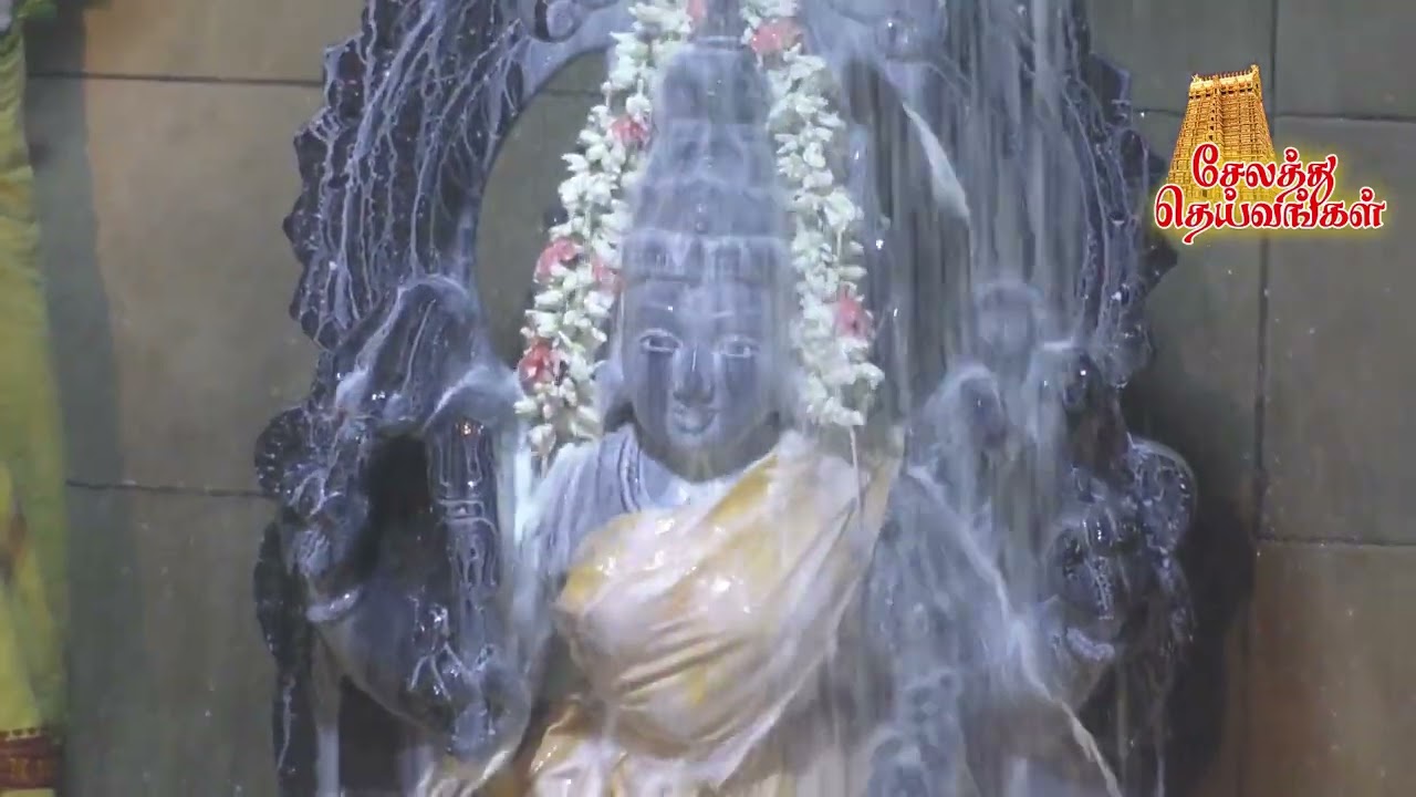 #சேலம் #சீலநாயக்கன்பட்டி ஸ்ரீ #வன்னியர் மாரியம்மன் தை திருவிழா முன்னிட்டு பால் குடம்