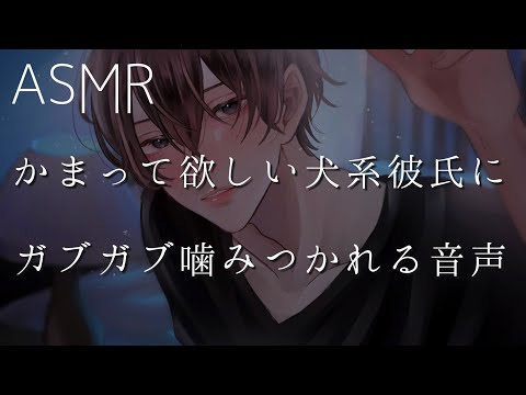 【女性向け】かまって欲しい犬系彼氏にガブガブ噛みつかれる音声【ASMR】