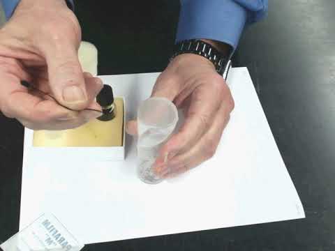 Come per anestetizzare Drosophila melanogaster