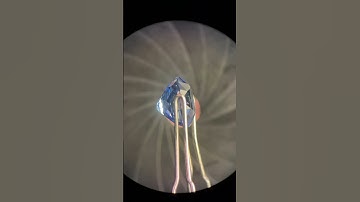 60x Zoom into a Sapphire