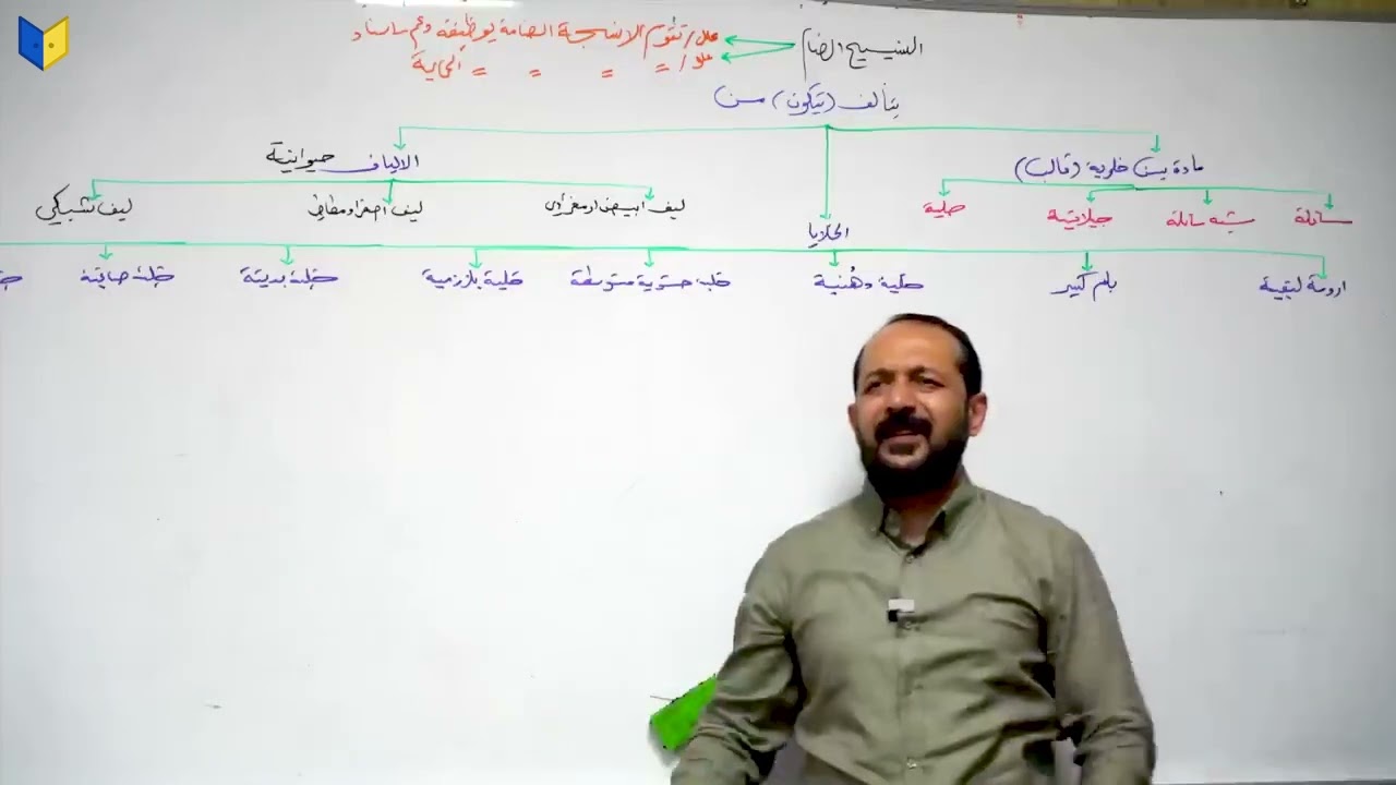 المراجعة المركزة - الفصل الثاني الجزء الثاني